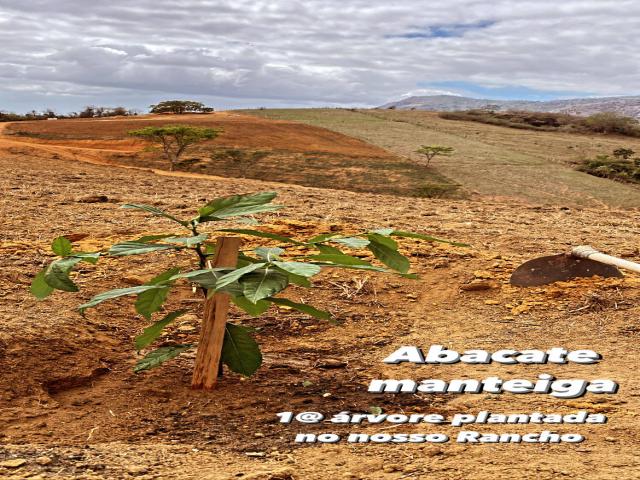 #1 - Sítio para Venda em Serra - ES