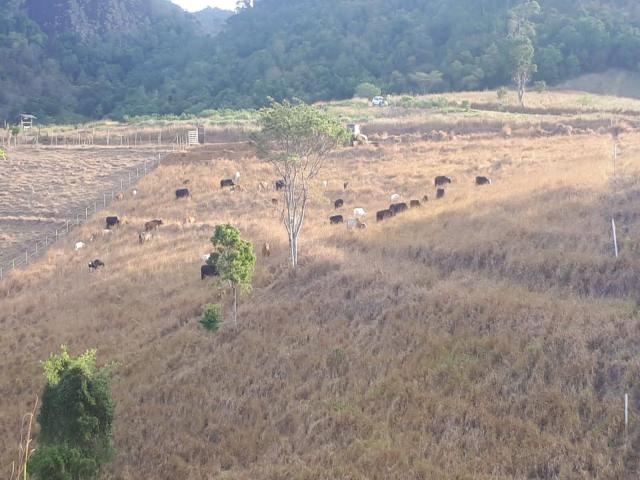 #1 - Sítio para Venda em Serra - ES