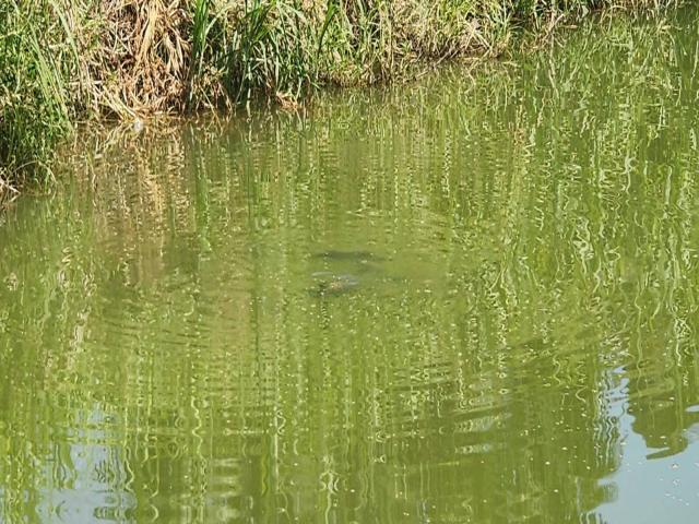 #3 - Sítio para Venda em Serra - ES